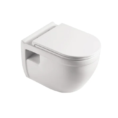 Wall-Hung Toilets Supplier