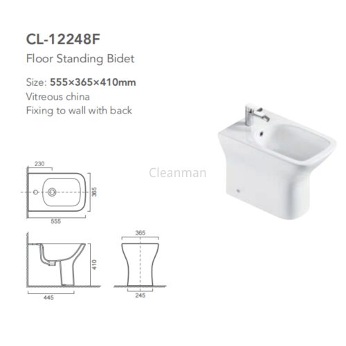 floor mounted bidet toilet