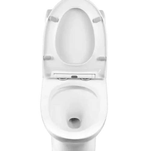 Best 1 Piece Toilet for 10-Inch Rough In(CL-12298A) - Image 8