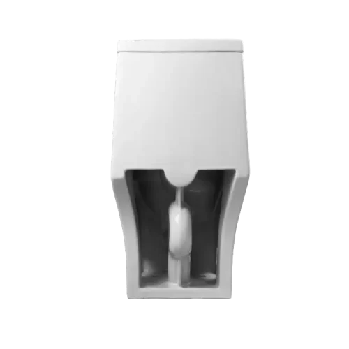 Best 1 Piece Toilet for 10-Inch Rough In(CL-12298A) - Image 3