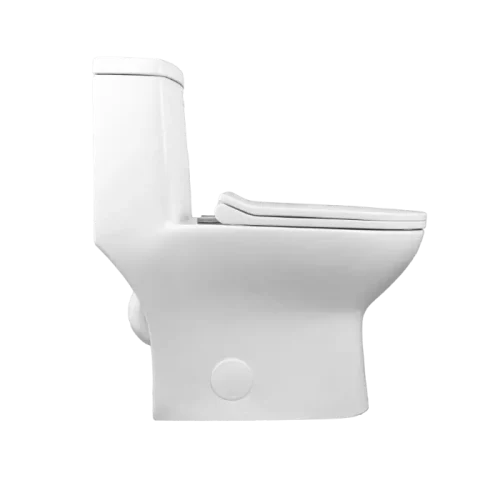 Best 1 Piece Toilet for 10-Inch Rough In(CL-12298A) - Image 4