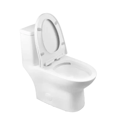 Best 1 Piece Toilet for 10-Inch Rough In(CL-12298A) - Image 5