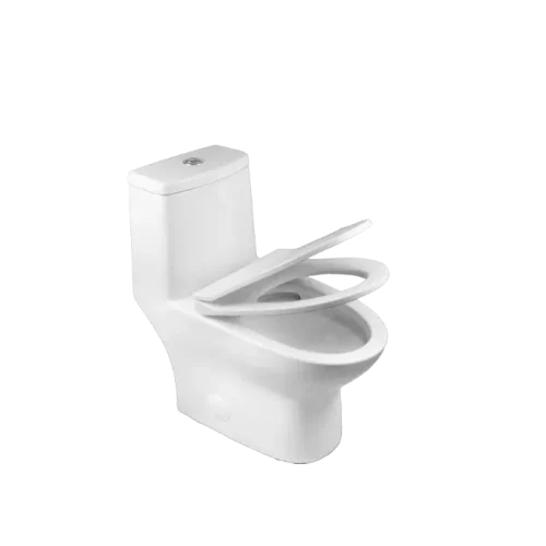 Best 1 Piece Toilet for 10-Inch Rough In(CL-12298A) - Image 6