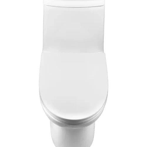 Best 1 Piece Toilet for 10-Inch Rough In(CL-12298A) - Image 7