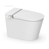 meilleures toilettes avec bidet intégré CL-721 meilleures toilettes avec bidet intégré