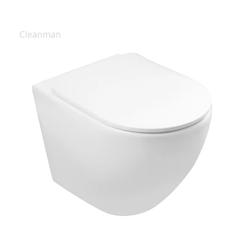 ce certified wall hung toilet China factory CL-12374DSTF