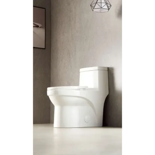 Eco-Friendly 1 Piece Dual Flush Toilet ADA  CL-12050A - Image 3
