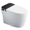 non-electronic smart toilet CL-617 (2)